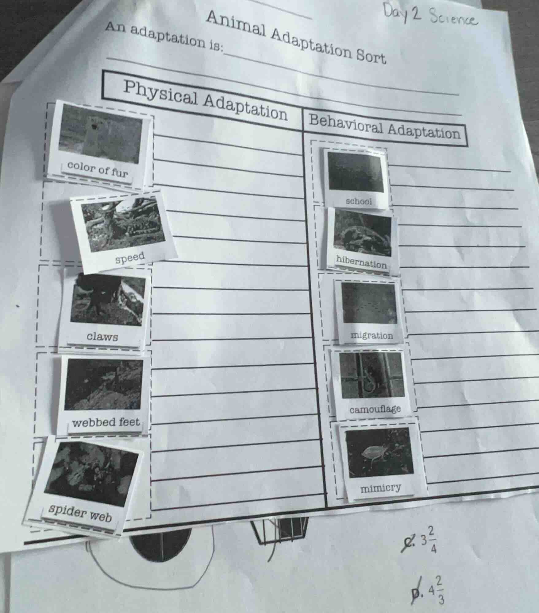 animal adaptation sort an adaptation is: physical adaptation \t behavio…