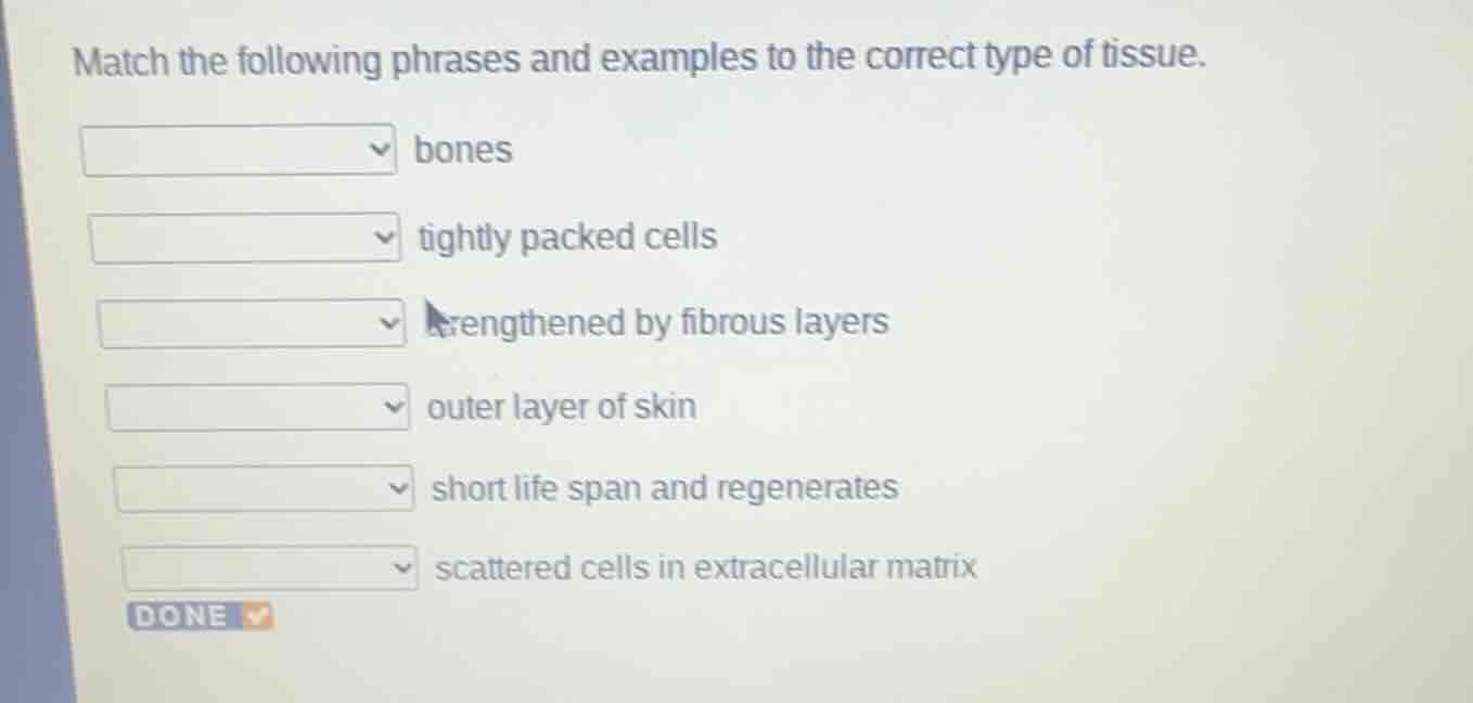 match the following phrases and examples to the correct type of tissue.…