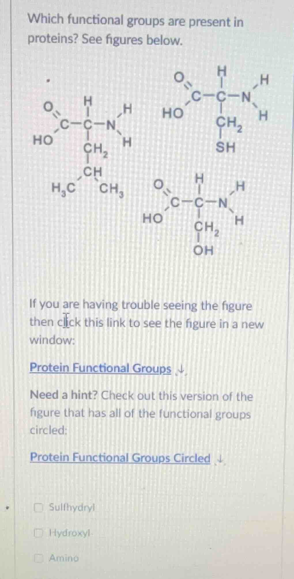 which functional groups are present in proteins? see figures below. if …