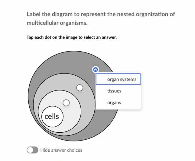 label the diagram to represent the nested organization of multicellular…