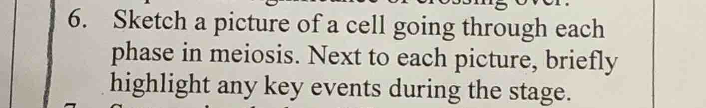 6. sketch a picture of a cell going through each phase in meiosis. next…