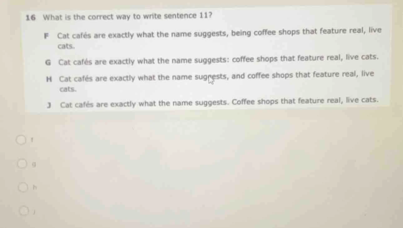16 what is the correct way to write sentence 11? f cat cafés are exactl…