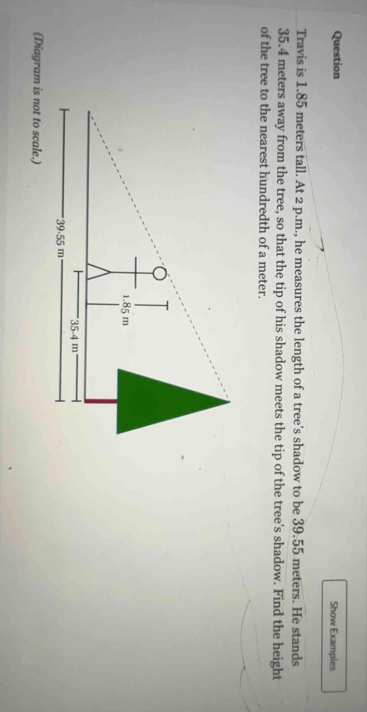 question travis is 1.85 meters tall. at 2 p.m., he measures the length …
