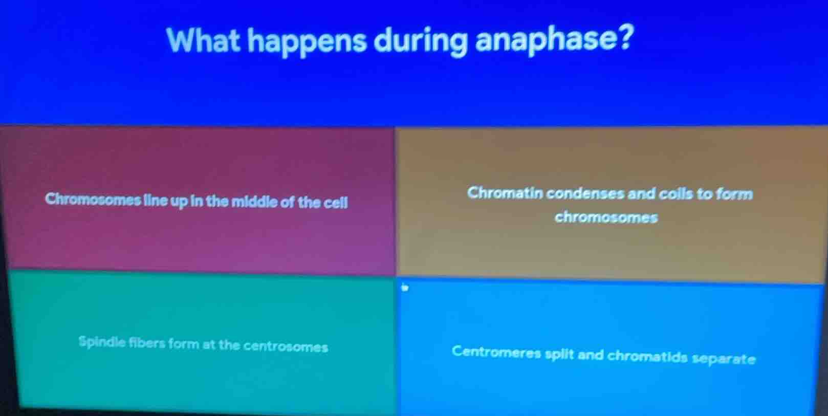 what happens during anaphase? chromosomes line up in the middle of the …