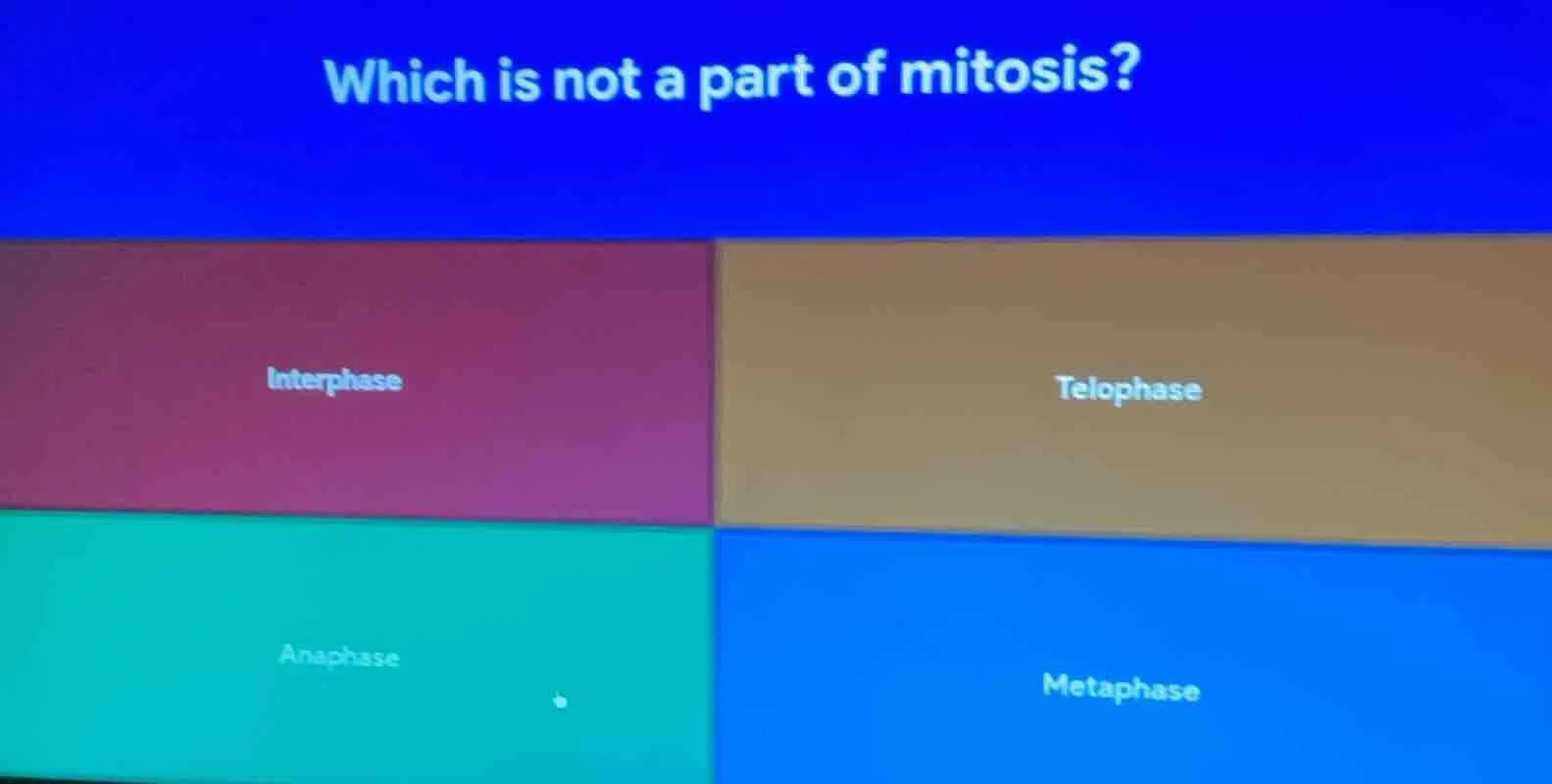 which is not a part of mitosis? interphase telophase anaphase metaphase