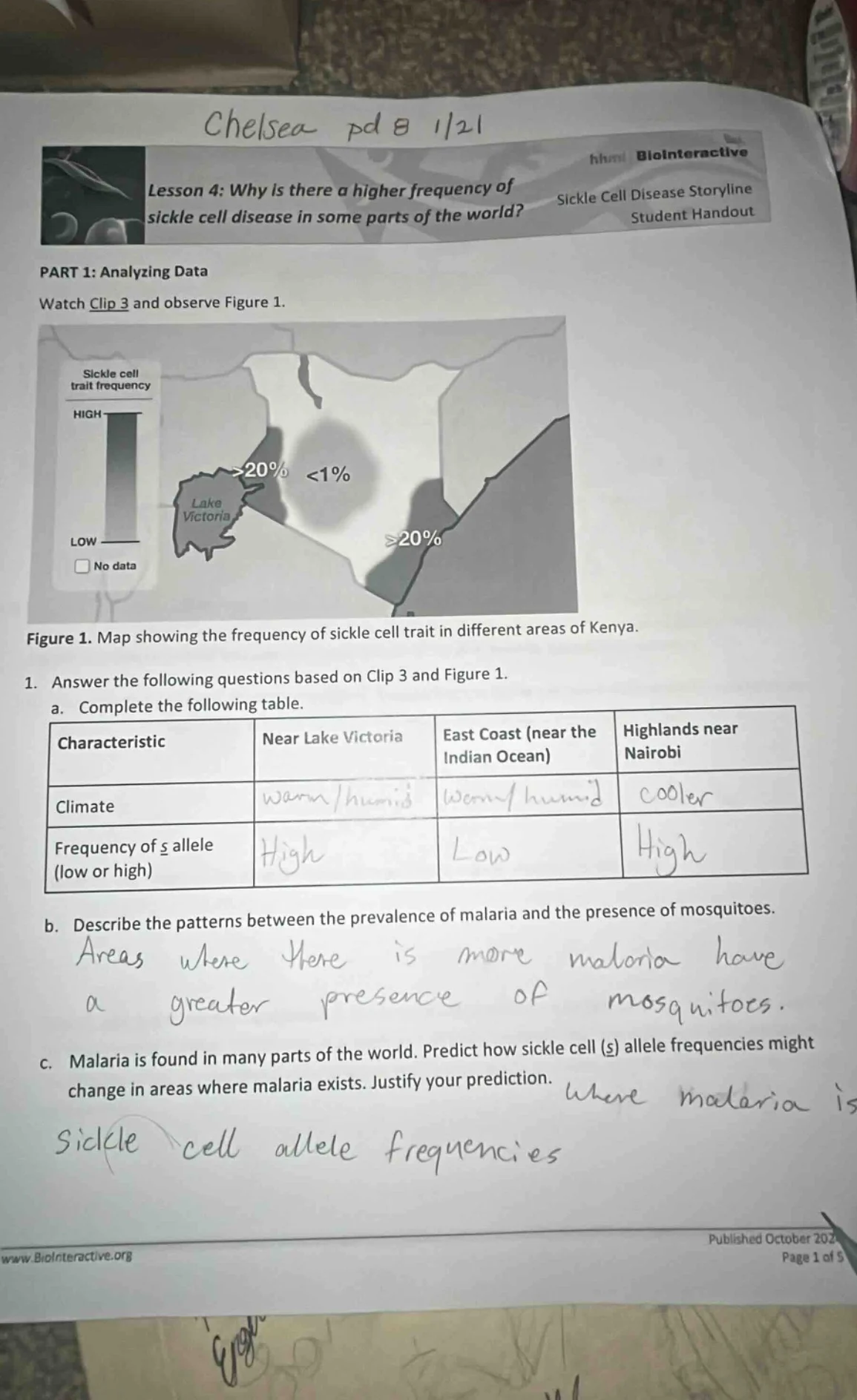 chelsea pd 8 1/21 lesson 4: why is there a higher frequency of sickle c…