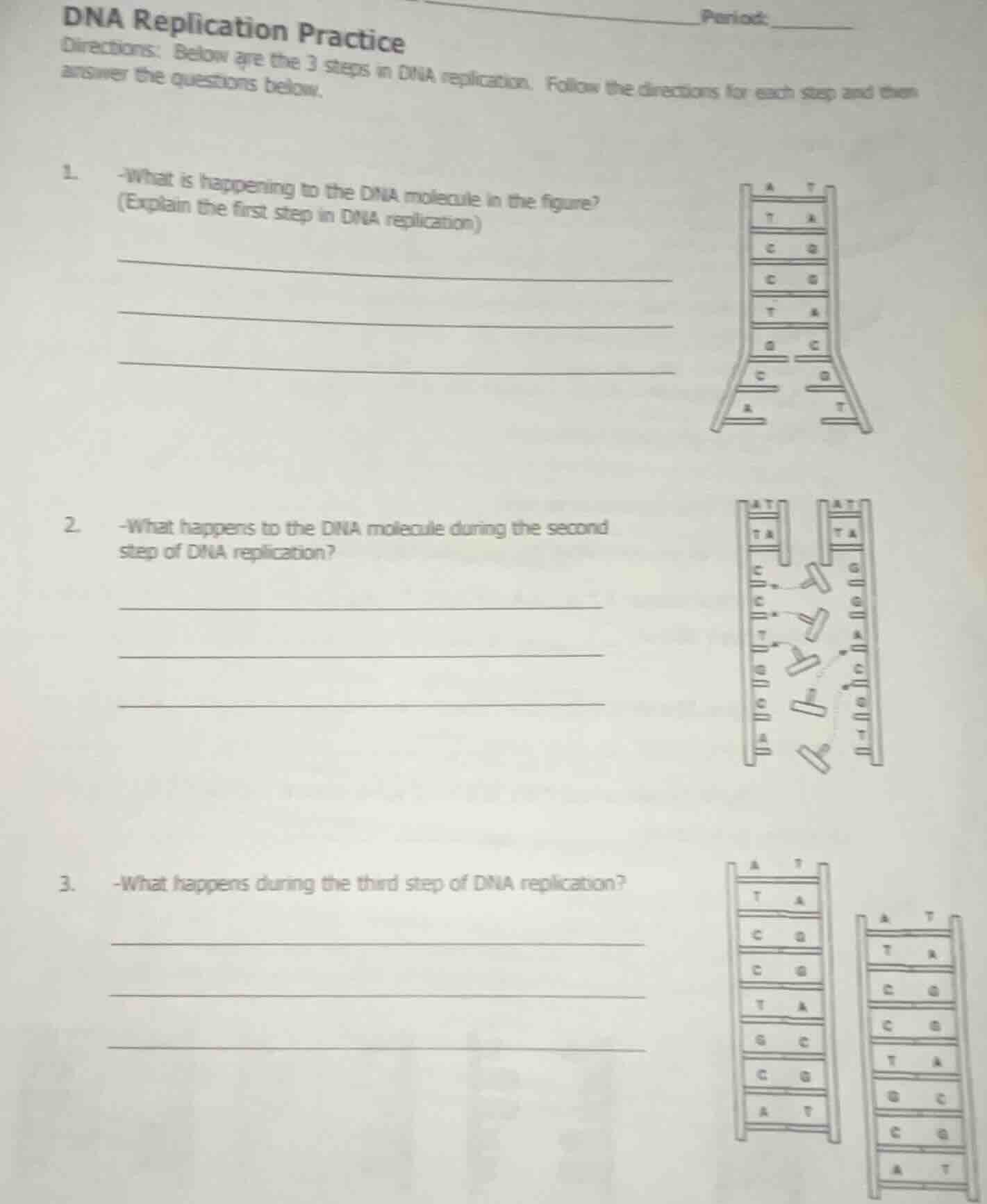 dna replication practice period: directions: below are the 3 steps in d…