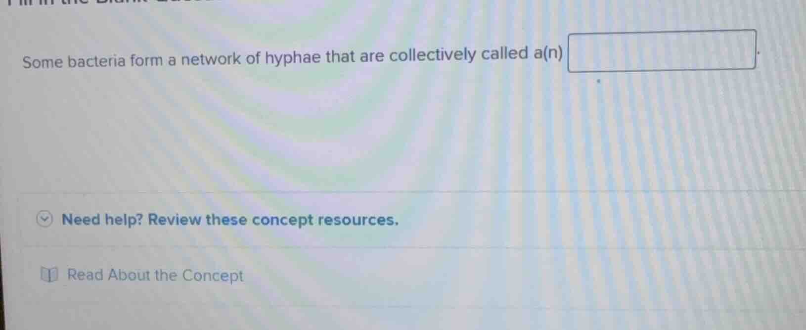 some bacteria form a network of hyphae that are collectively called a(n…