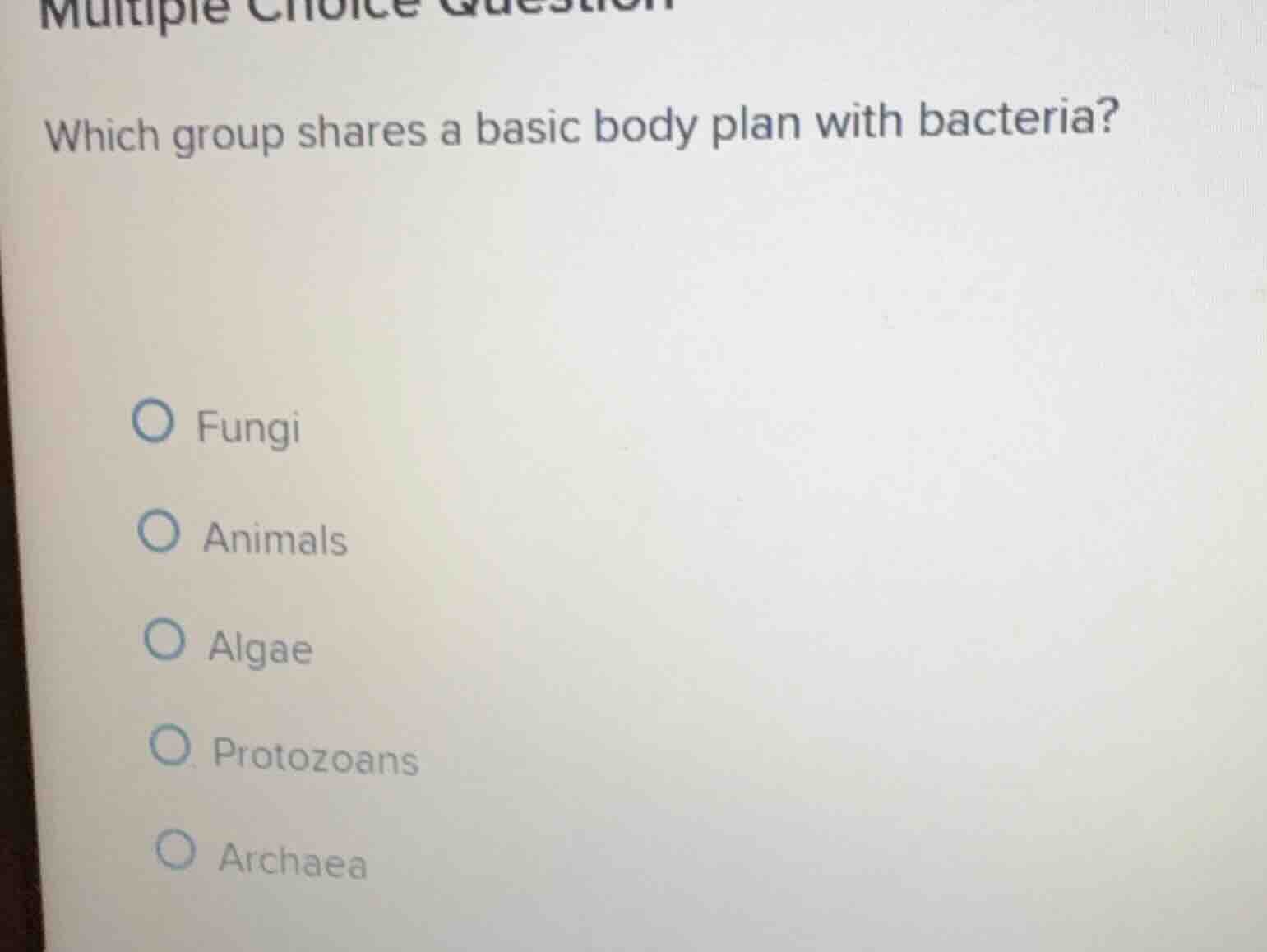 multiple choice question which group shares a basic body plan with bact…