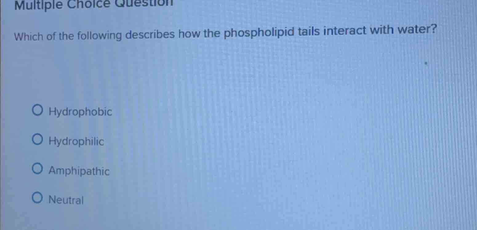 multiple choice question which of the following describes how the phosp…