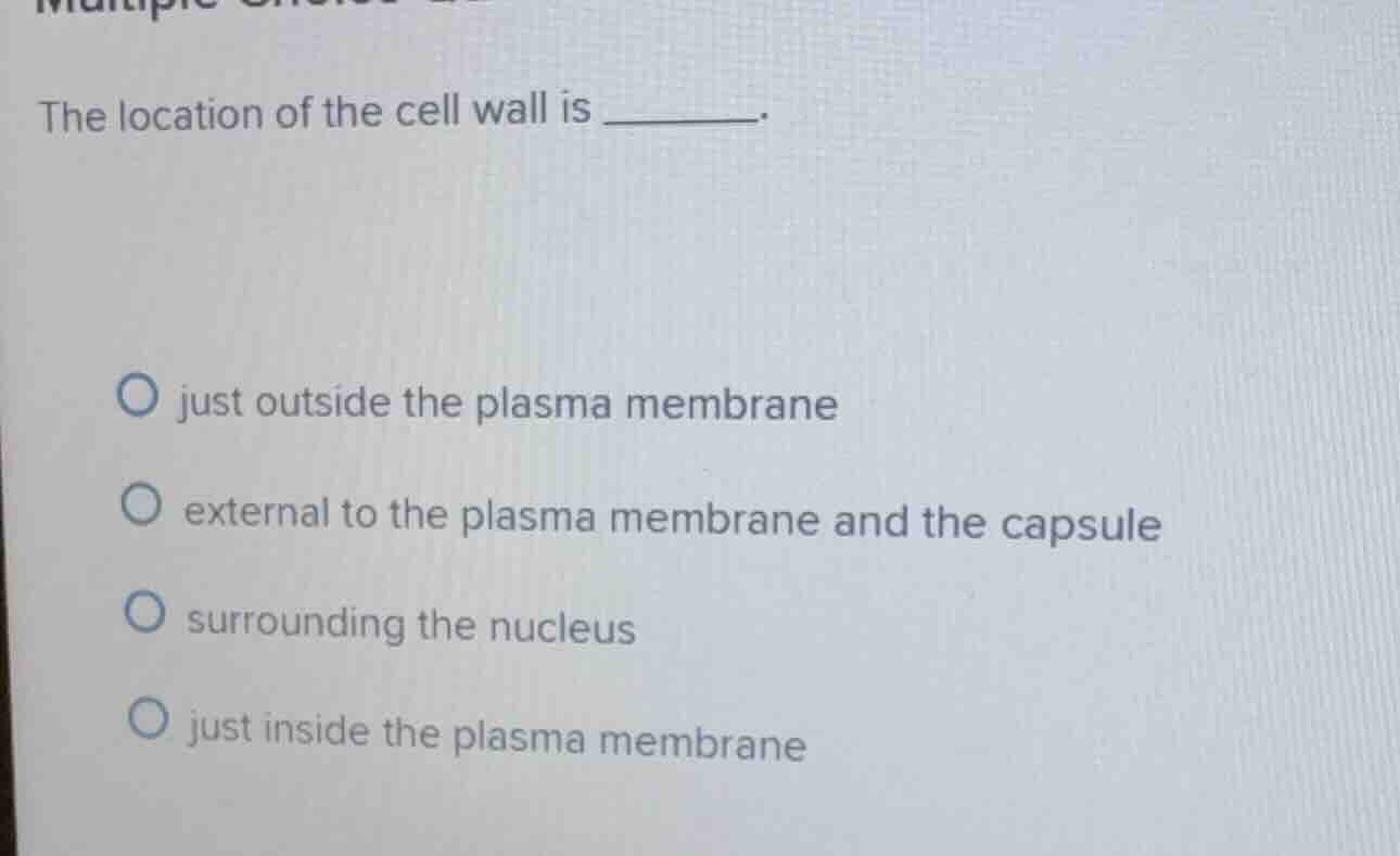 the location of the cell wall is ______. just outside the plasma membra…