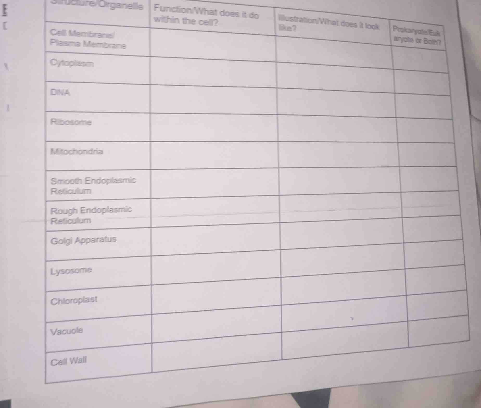 structure/organelle | function/what does it do within the cell? | illus…