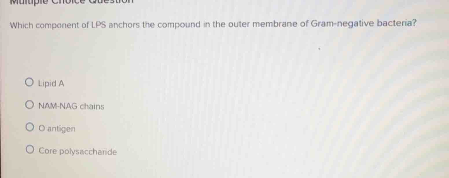 multiple choice question which component of lps anchors the compound in…