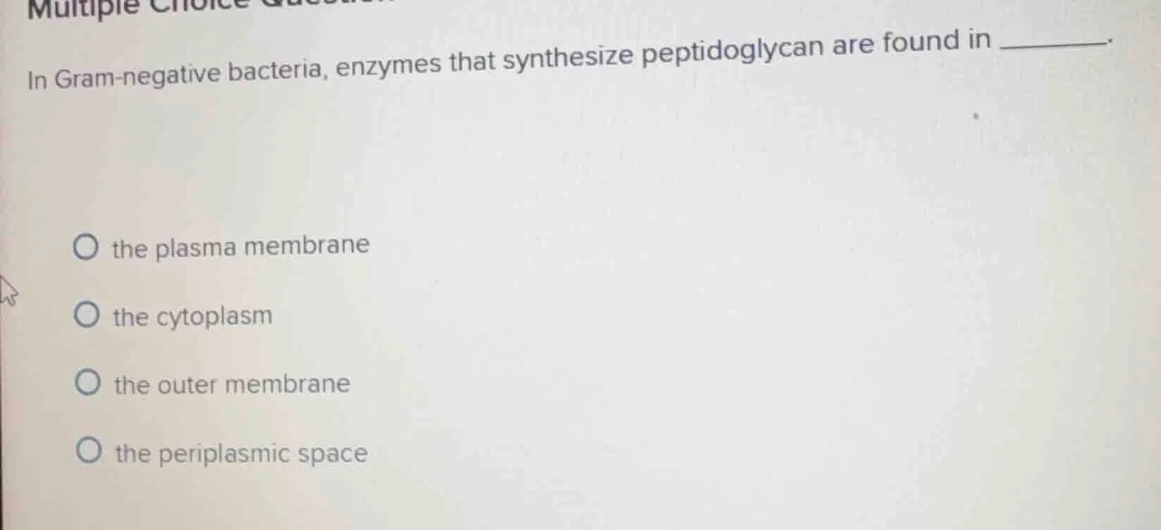 multiple choice question in gram-negative bacteria, enzymes that synthe…