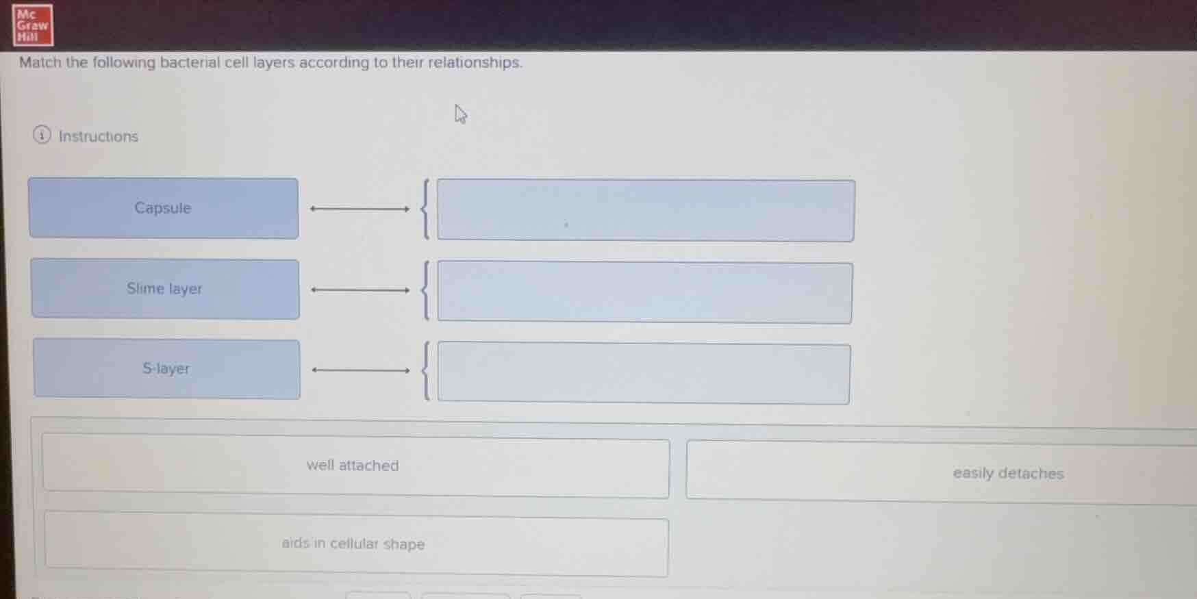 match the following bacterial cell layers according to their relationsh…