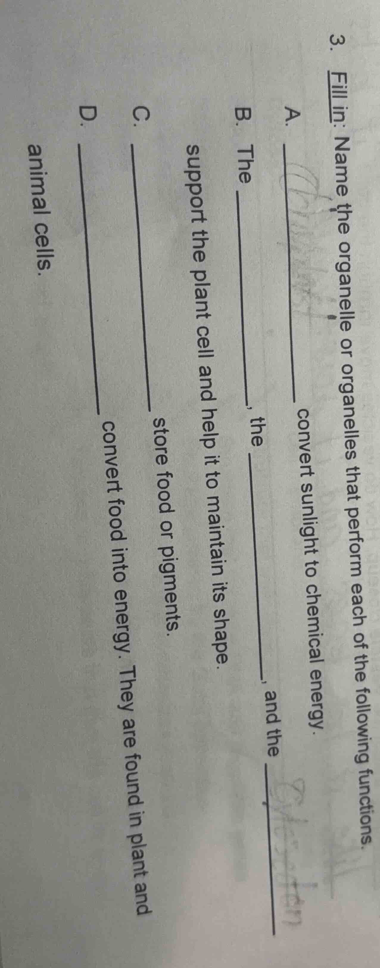 3. fill in: name the organelle or organelles that perform each of the f…