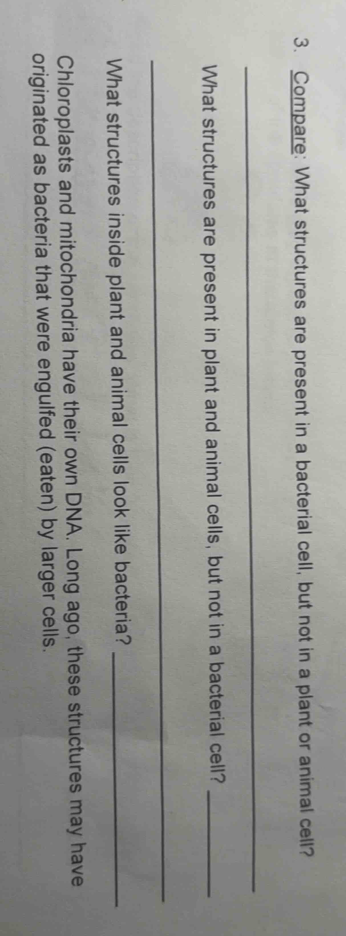 3. compare: what structures are present in a bacterial cell, but not in…