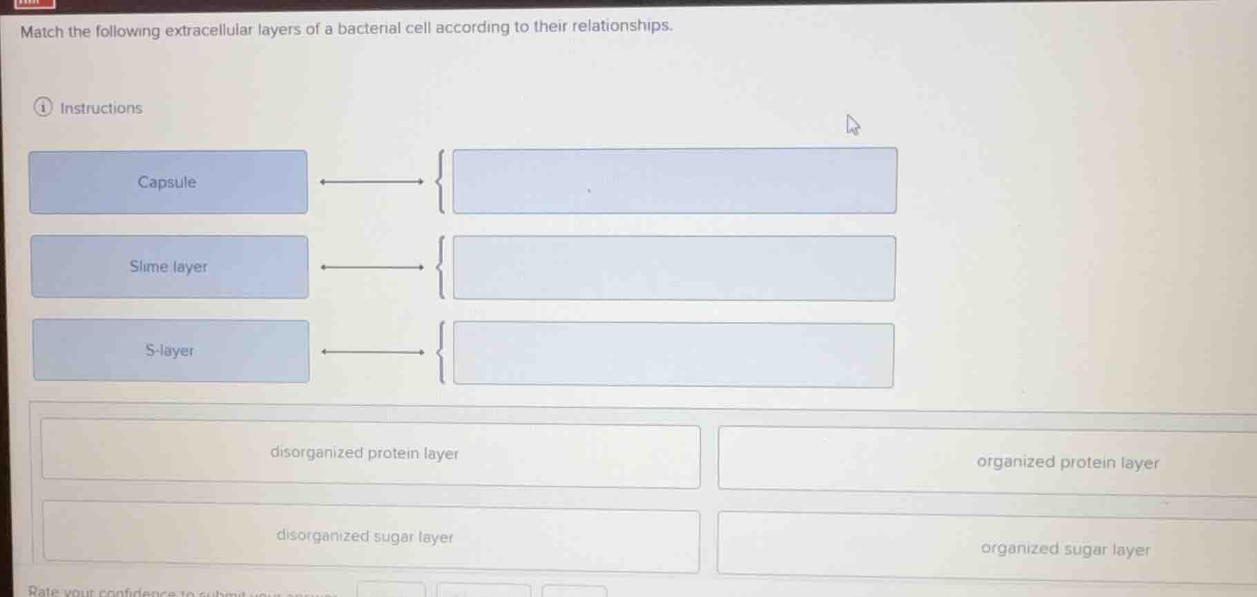 match the following extracellular layers of a bacterial cell according …