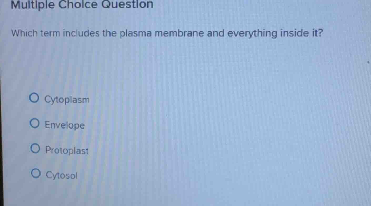 multiple choice question which term includes the plasma membrane and ev…