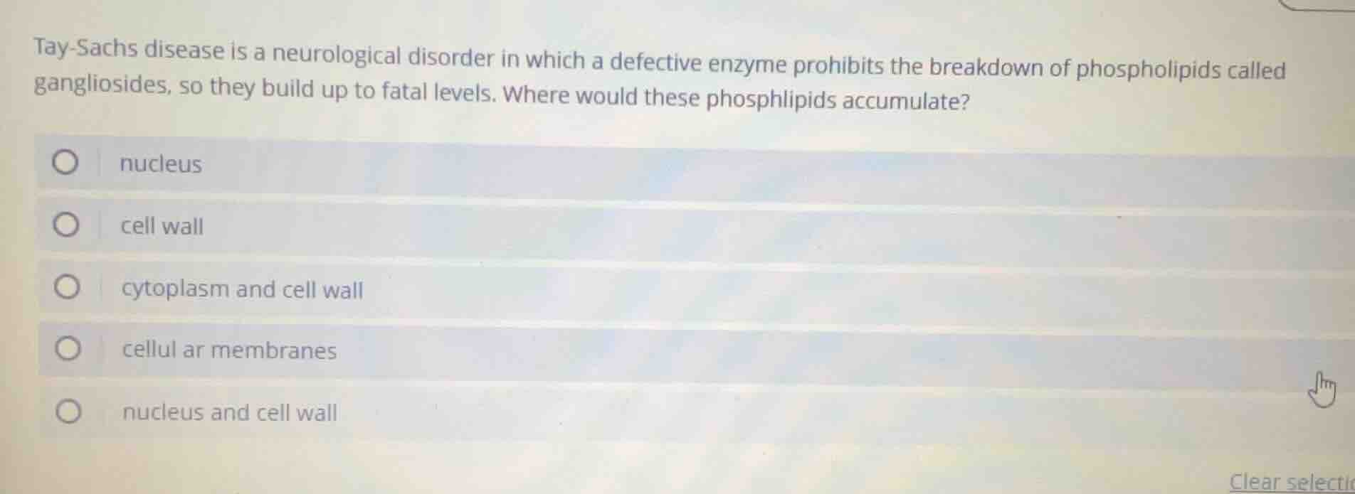 tay - sachs disease is a neurological disorder in which a defective enz…