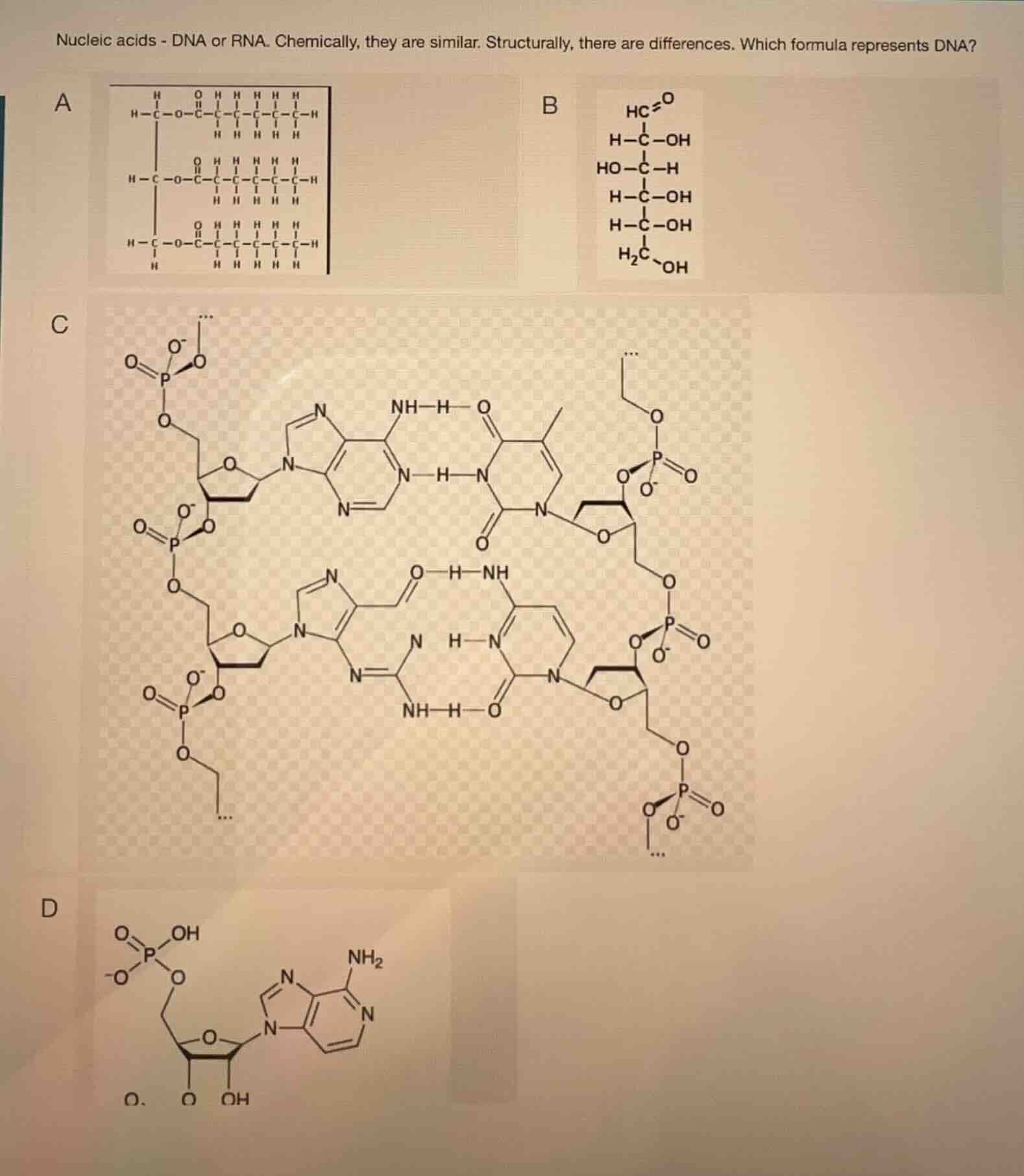 nucleic acids - dna or rna. chemically, they are similar. structurally,…