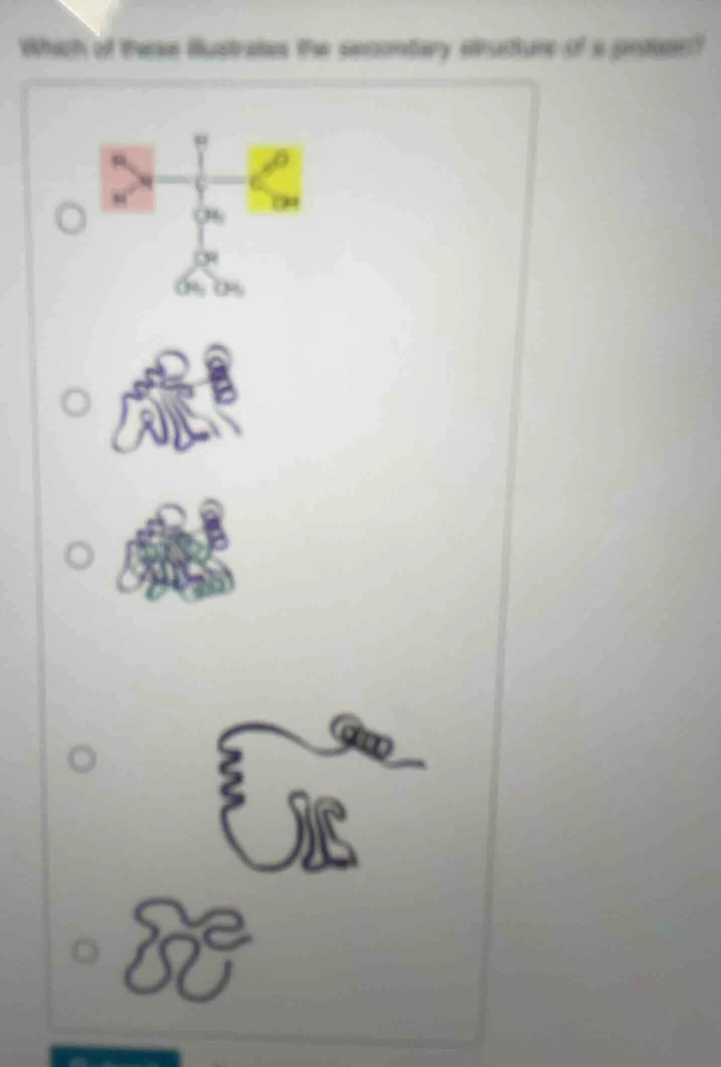which of these illustrates the secondary structure of a protein?