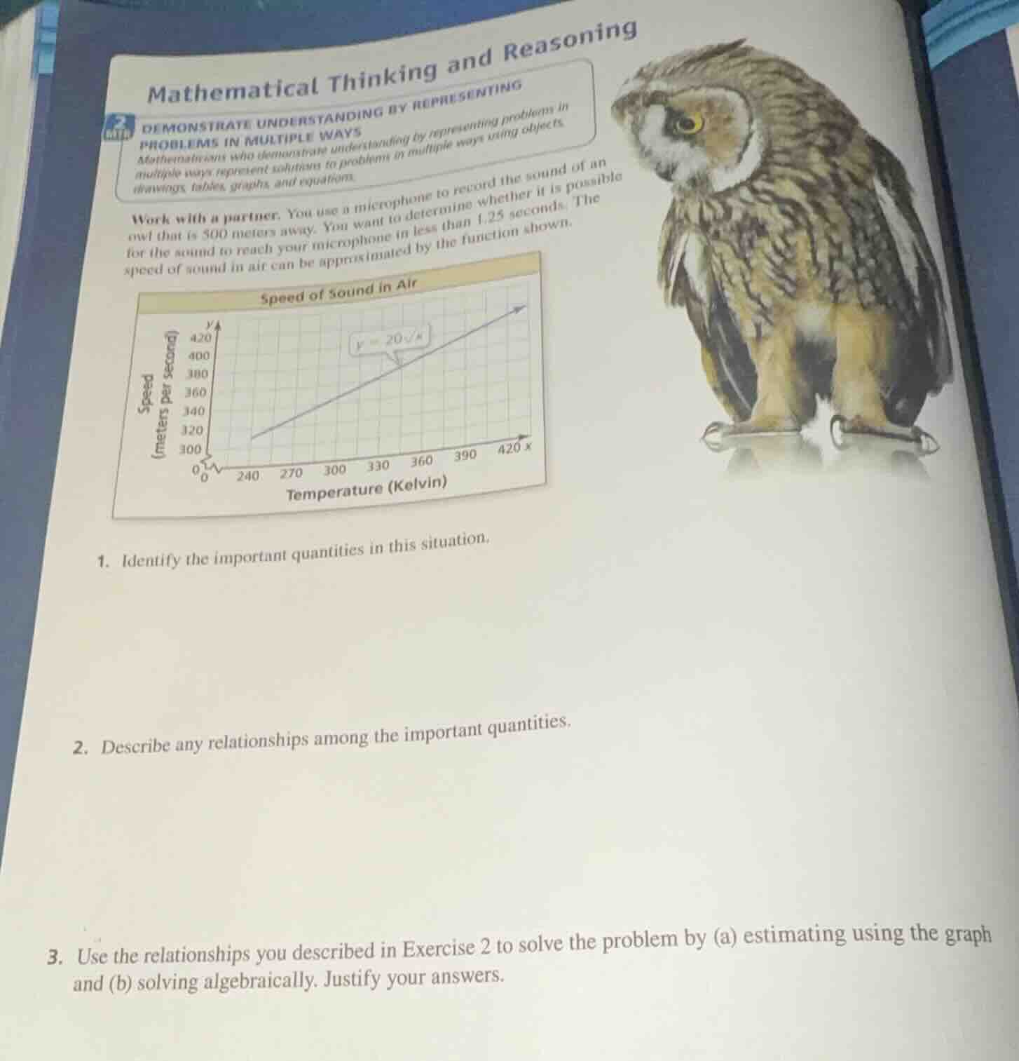 mathematical thinking and reasoning demonstrate understanding by repres…