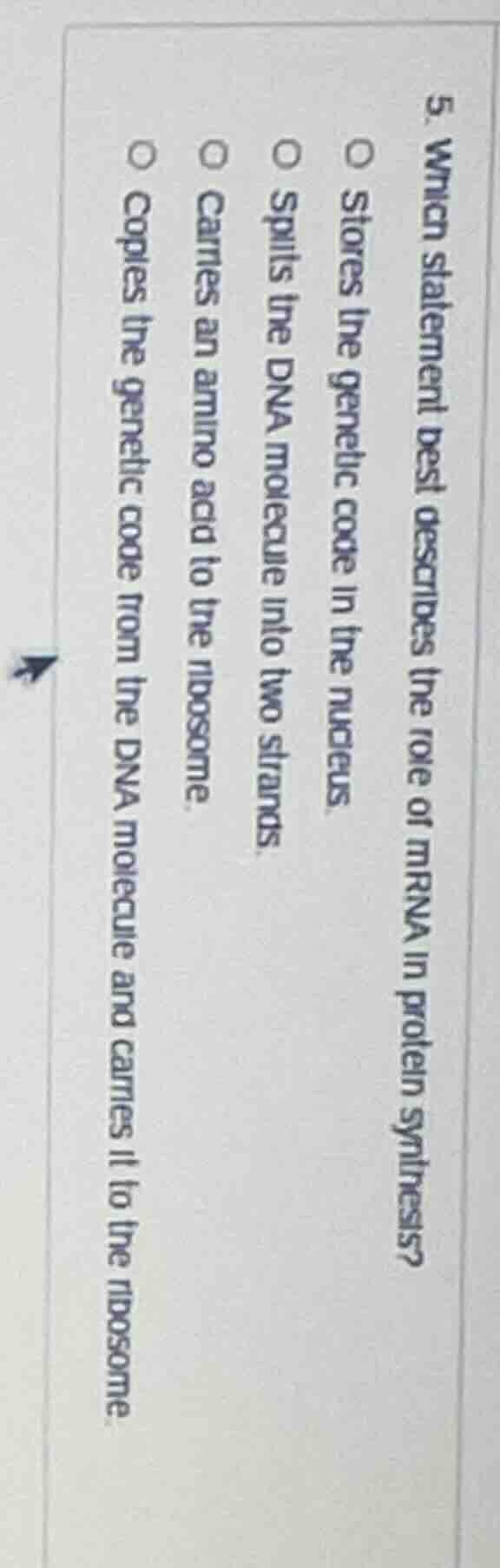 5. which statement best describes the role of mrna in protein synthesis…