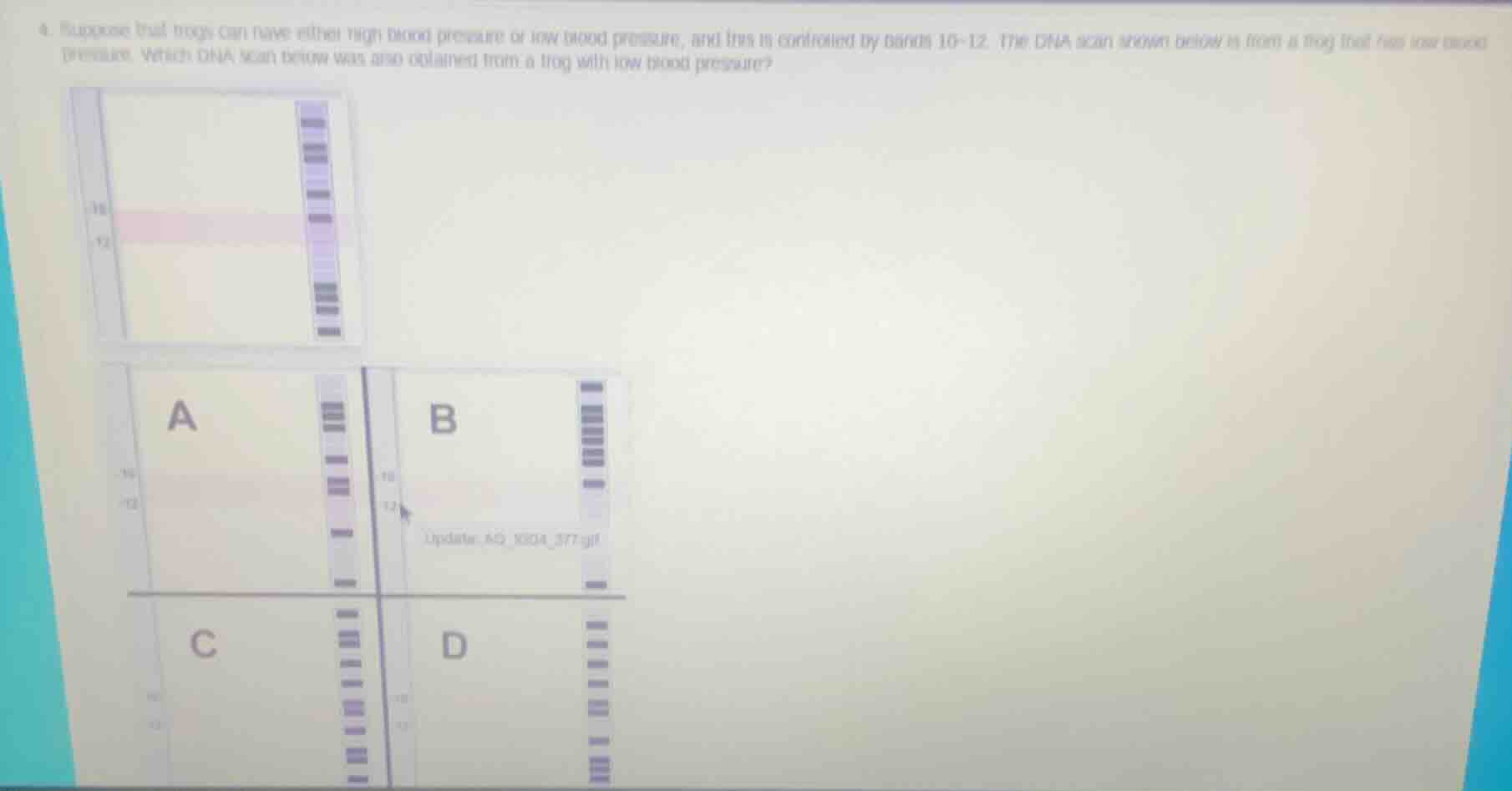 4. suppose that frogs can have either high blood pressure or low blood …