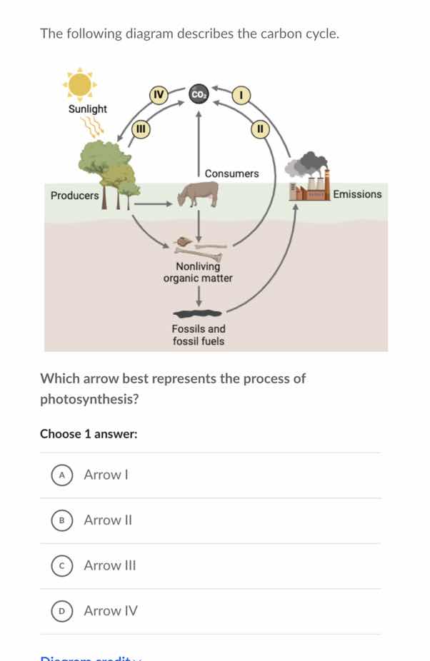 the following diagram describes the carbon cycle. which arrow best repr…