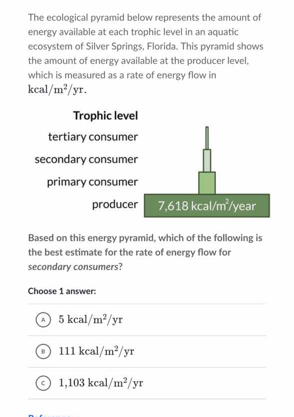 the ecological pyramid below represents the amount of energy available …