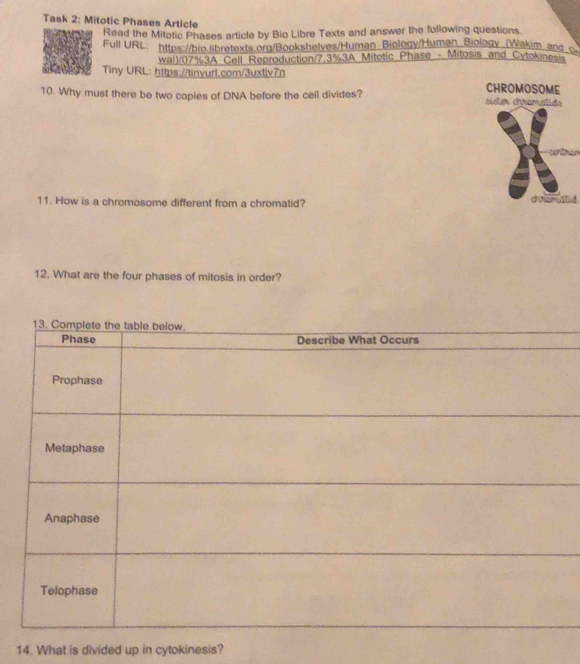 task 2: mitotic phases article read the mitotic phases article by bio l…