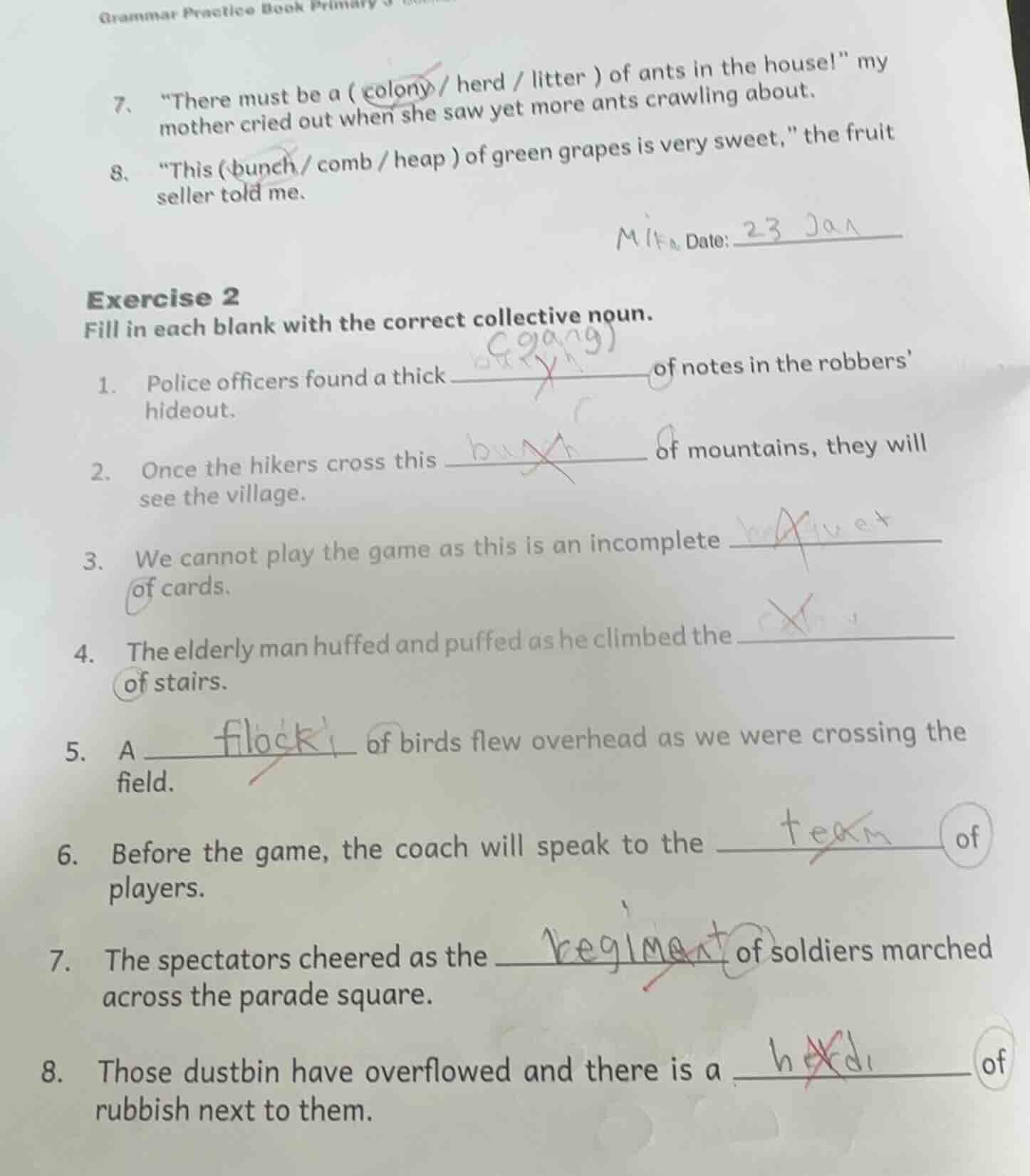 grammar practice book primary 7. \there must be a (colony / herd / litt…
