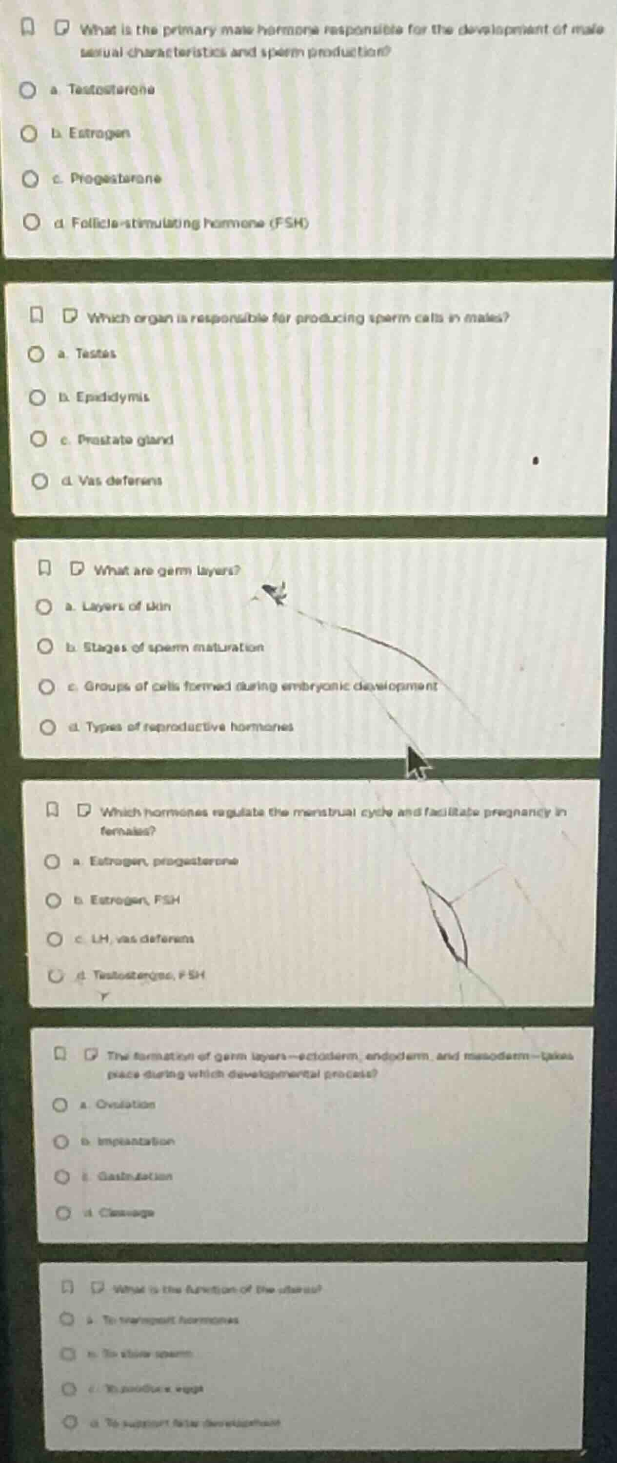 what is the primary male hormone responsible for the development of mal…