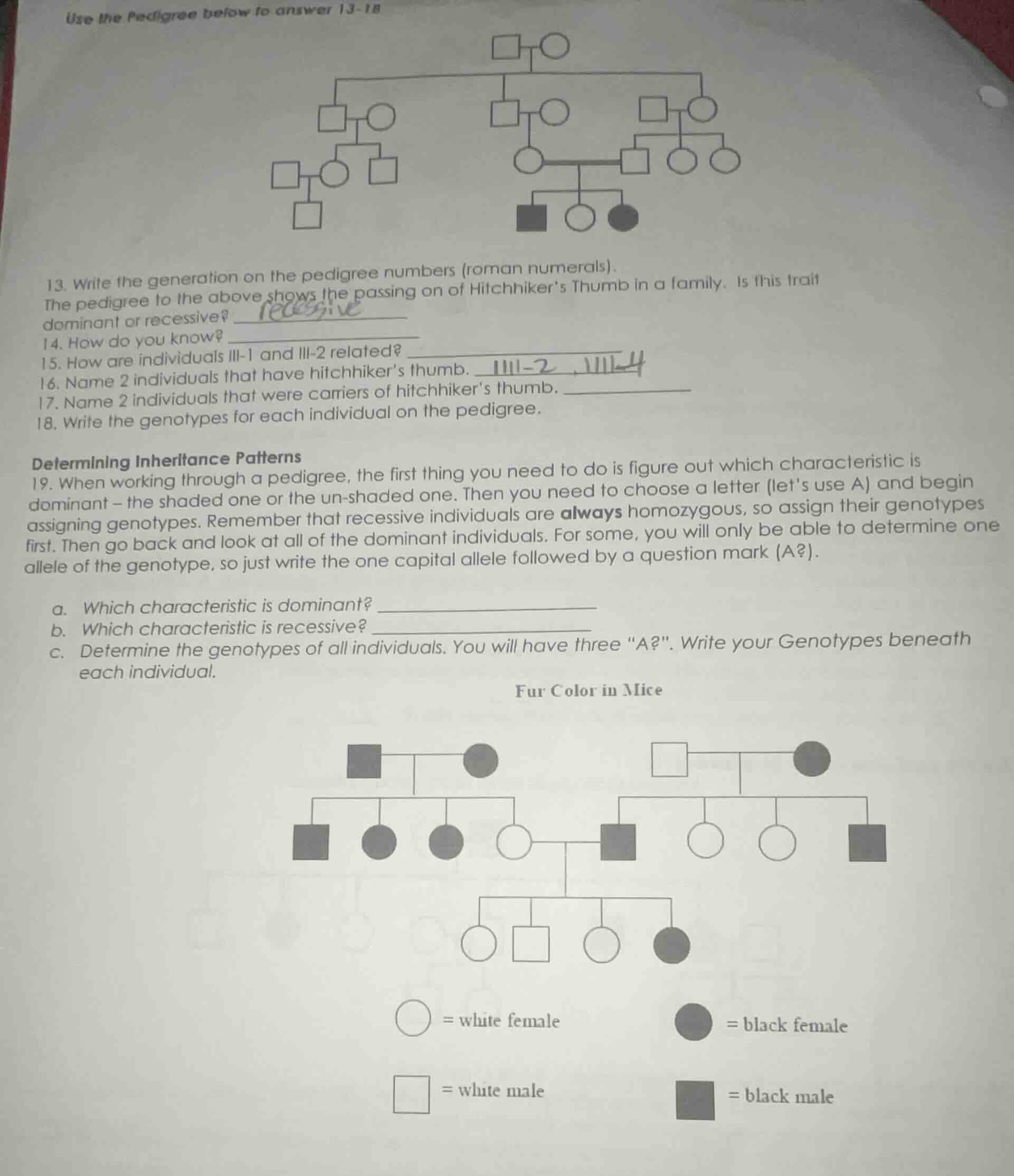 use the pedigree below to answer 13 - 18 13. write the generation on th…