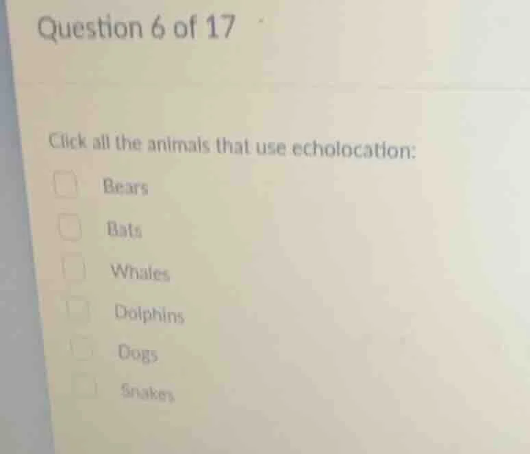 question 6 of 17 click all the animals that use echolocation: bears bat…
