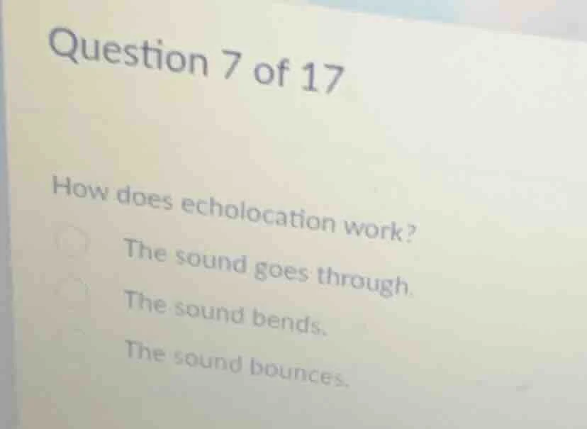 question 7 of 17 how does echolocation work? the sound goes through. th…