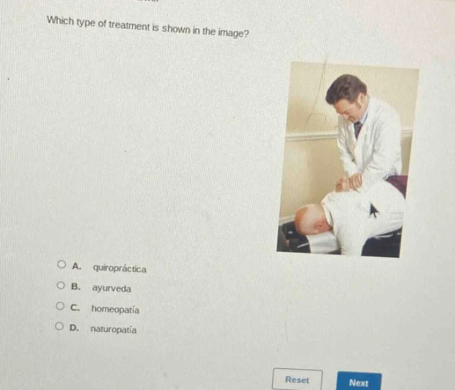 which type of treatment is shown in the image? a. quiropráctica b. ayur…