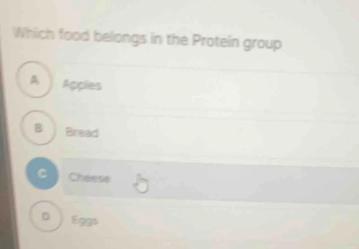 which food belongs in the protein group a apples b bread c cheese d eggs
