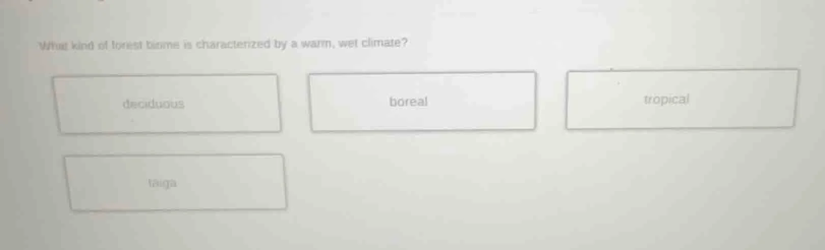 what kind of forest biome is characterized by a warm, wet climate? deci…