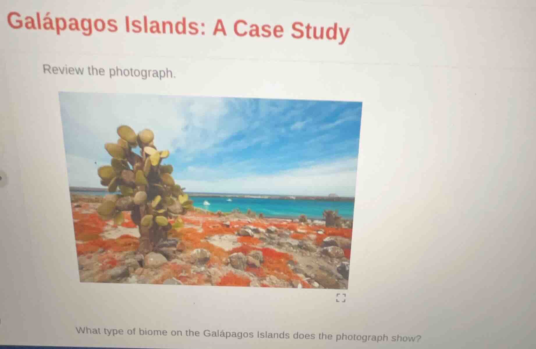 galápagos islands: a case study review the photograph. what type of bio…