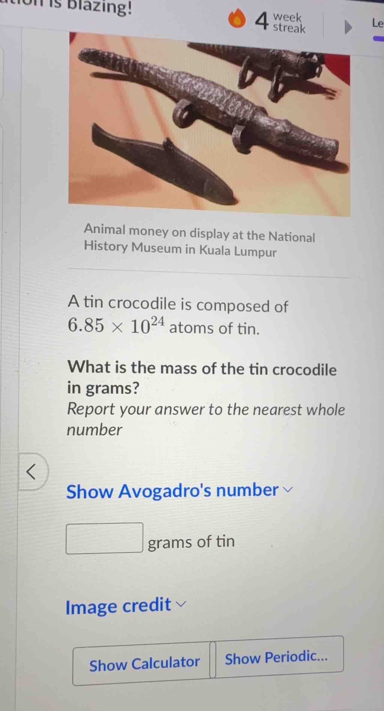 animal money on display at the national history museum in kuala lumpur …