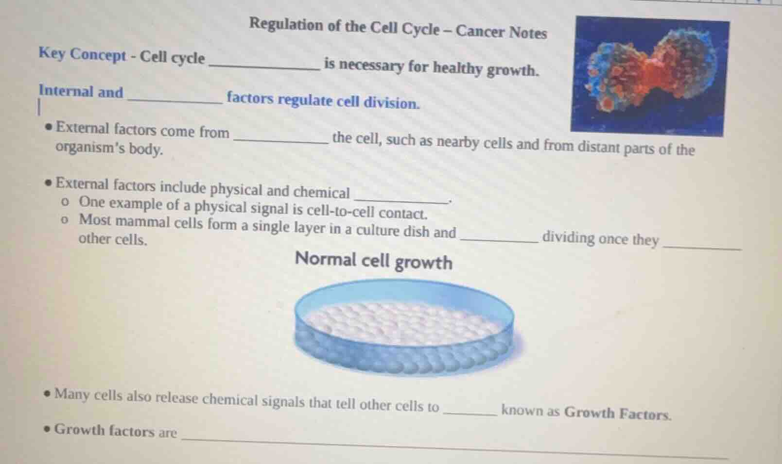 regulation of the cell cycle – cancer notes key concept - cell cycle __…