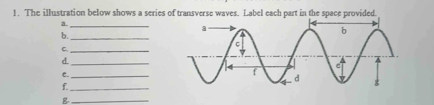 1. the illustration below shows a series of transverse waves. label eac…