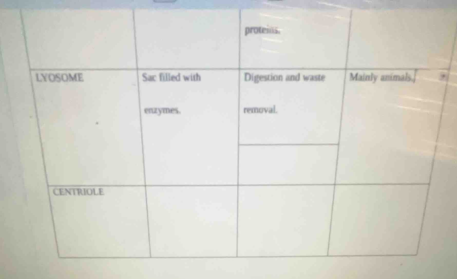 lyosome sac filled with enzymes. digestion and waste removal. mainly an…