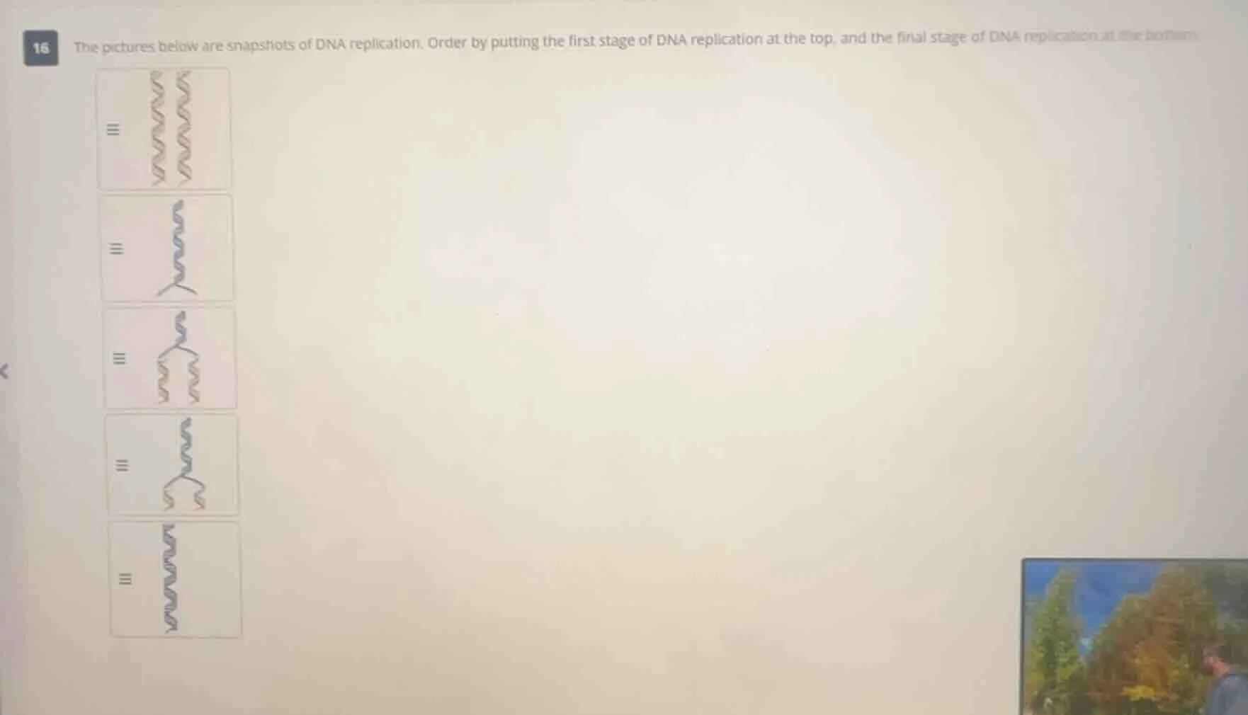 16 the pictures below are snapshots of dna replication. order by puttin…