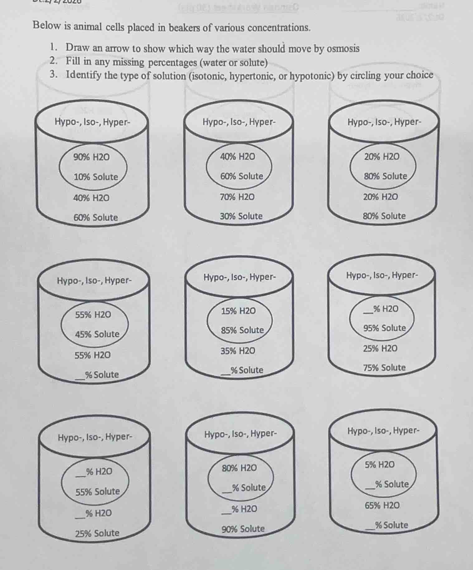 below is animal cells placed in beakers of various concentrations. 1. d…