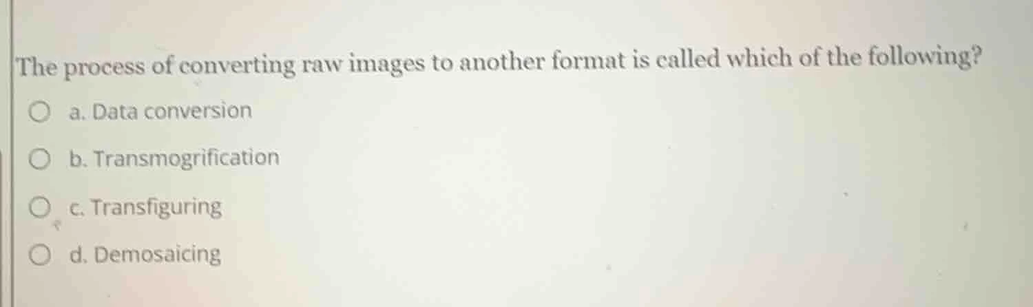 the process of converting raw images to another format is called which …