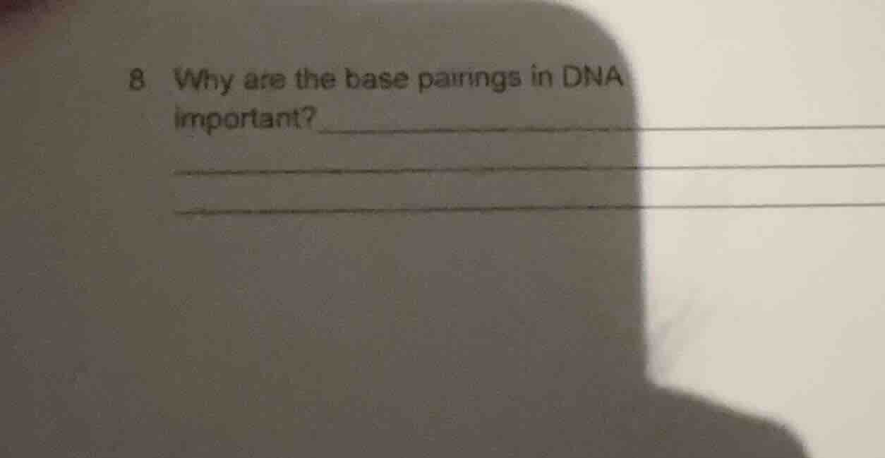 8 why are the base pairings in dna important?