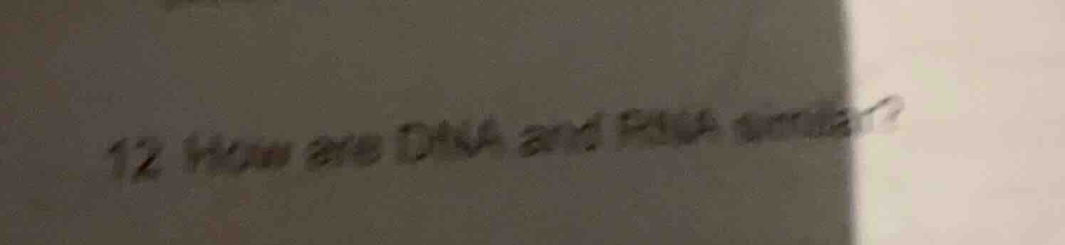 12 how are dna and rna similar?